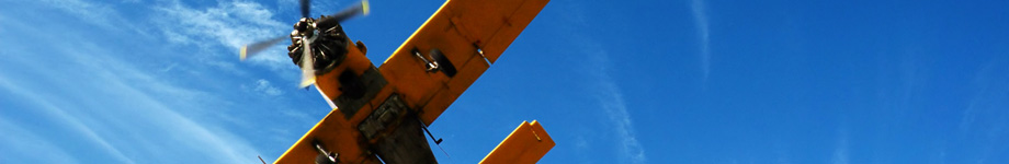 Anders Jallai Rotating Header Image